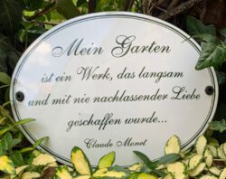 Monet-Spruch fein gestaltet in Grün